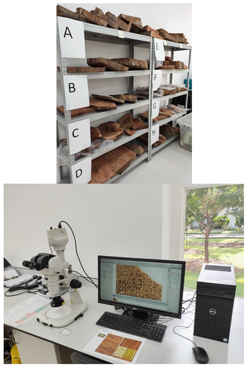 A photograph of timber on a shelf and a timber sample under the microscope